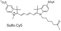 磺化Cy5化学结构